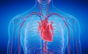 HRV Biofeedback Training der Herzratenvariabilität